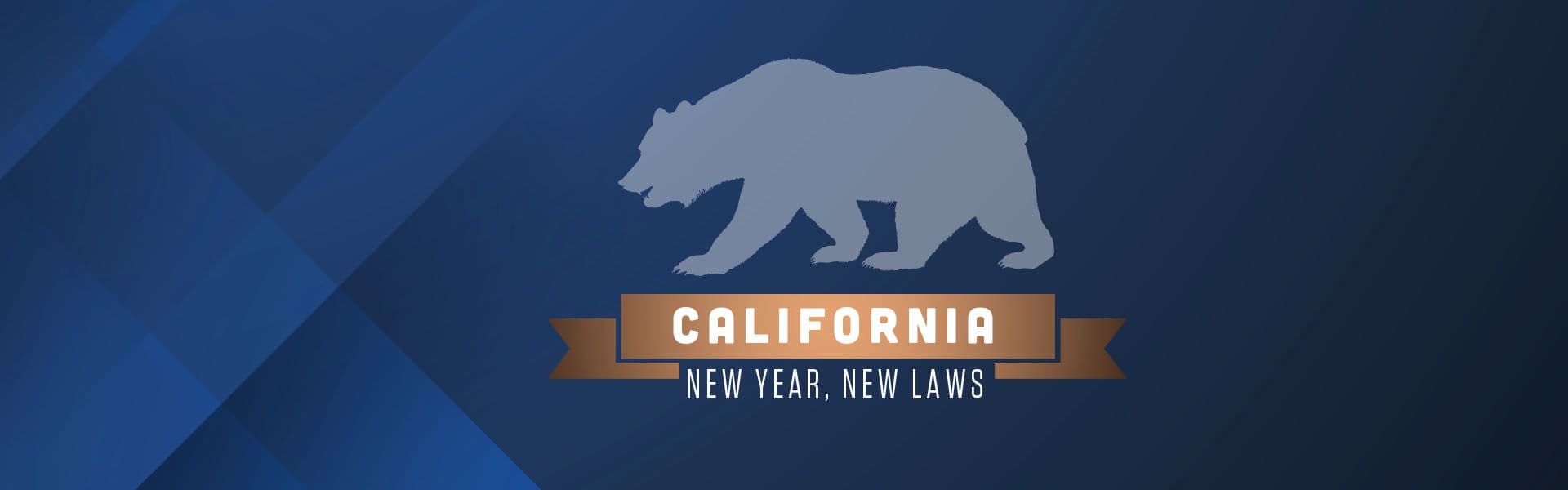 New Year, New Laws 2025: What You Need to Know